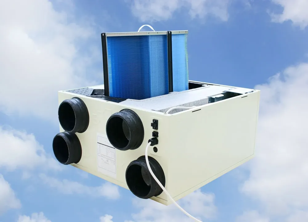 VMC double flux près de Lasne