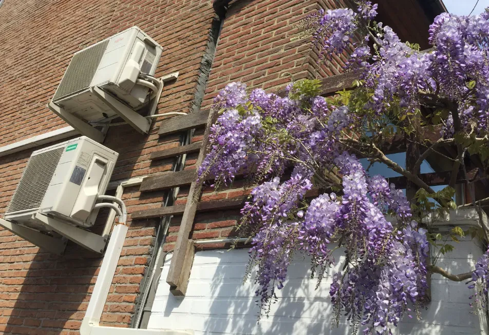 Réalisations - Becool (2)webp