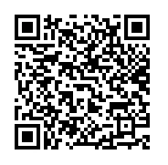 QR Code Google